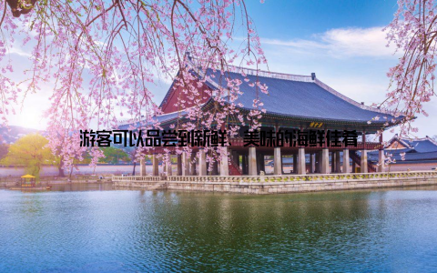 游客可以品尝到新鲜、美味的海鲜佳肴