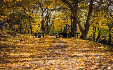 来首尔, 一定要品尝一下